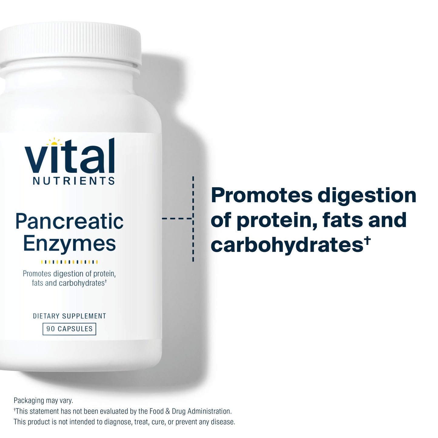 Vital Nutrients Pancreatic Enzymes 90 ct promotes digestion of protein, fats and carbohydrates.*